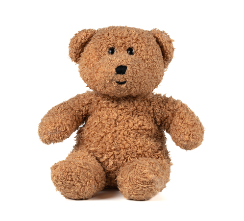 teddybeer geschenk versturen met bloemen Arnhem - De Bloemenwinkel Arnhem