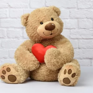 teddybeer hartje geschenk versturen met bloemen Arnhem - De Bloemenwinkel Arnhem